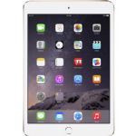 Apple -MH3G2LL/A 16GB iPad mini 3
