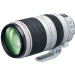 Canon EF 100-400mm f/4.5-5.6L IS II USM Lens USA